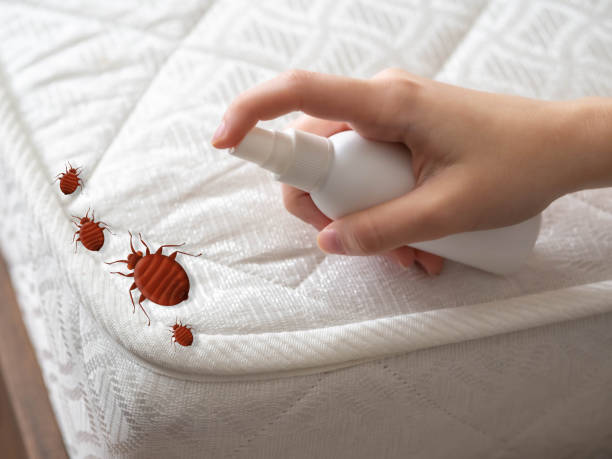 Best Pest Control for Multi-Family Homes  in Meadowbrook, AL